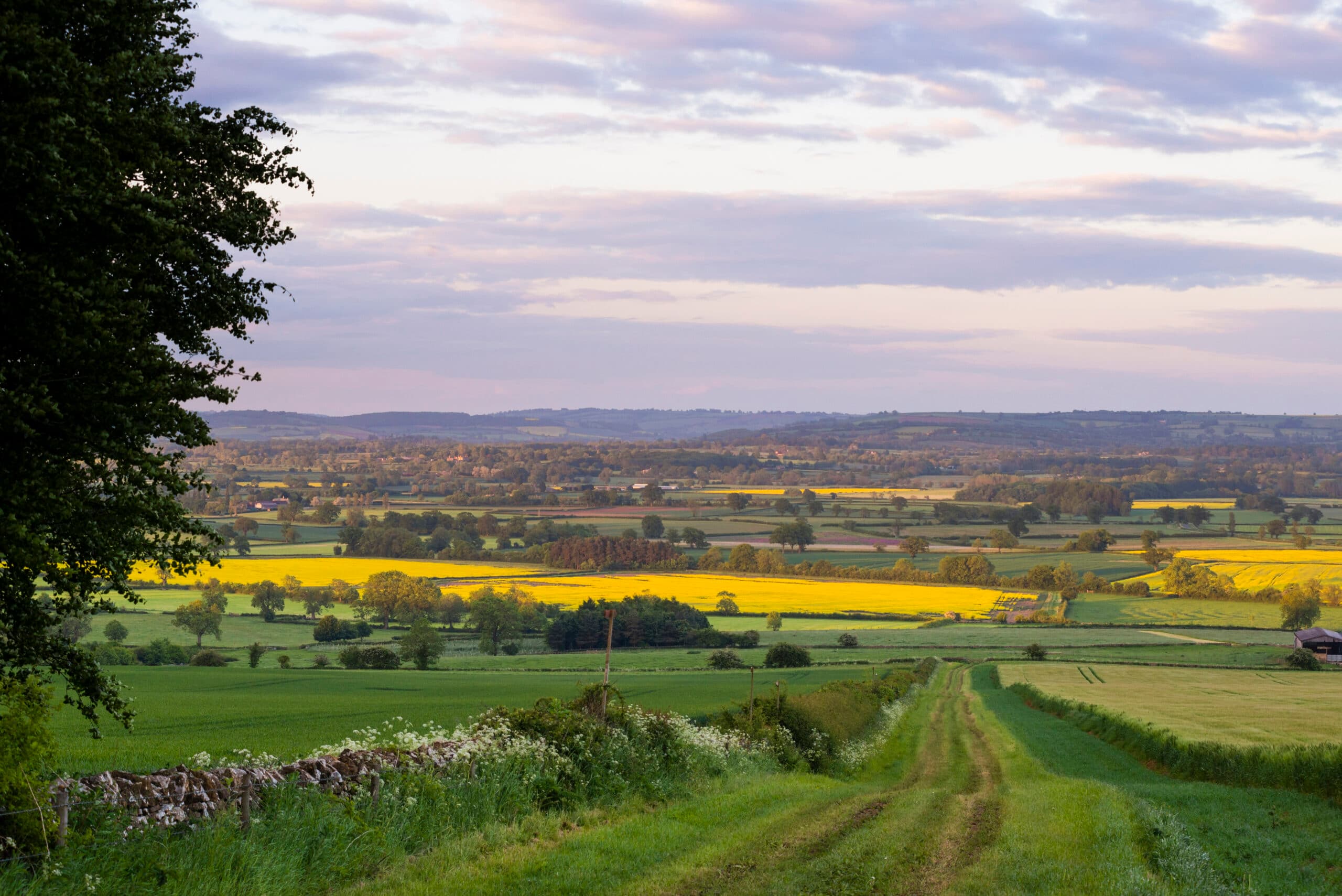 Cotswolds rural countryside and farmland landscape