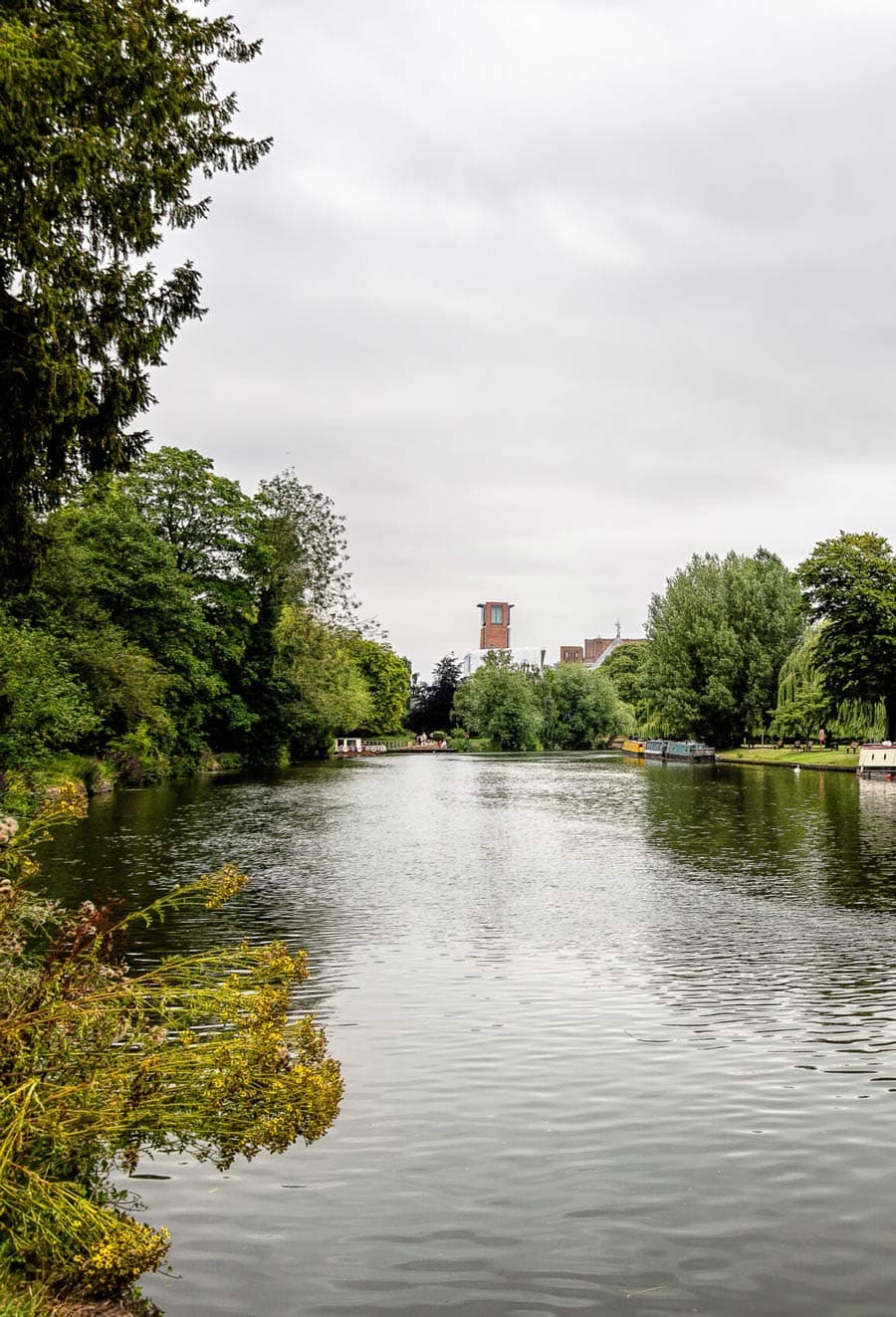A peaceful waterside setting surrounded by mature trees