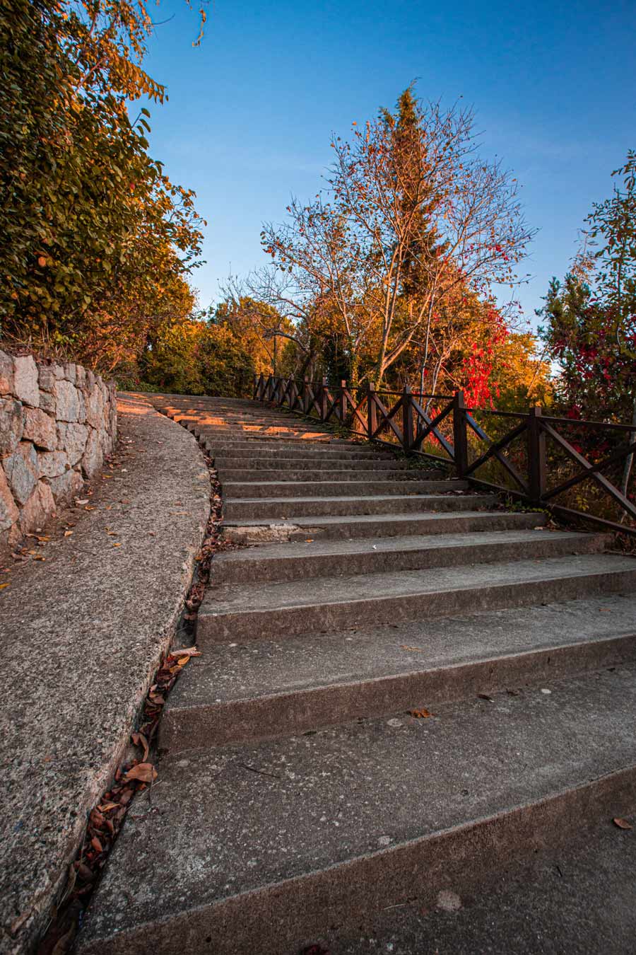 Steps leading through a peaceful autumn landscape